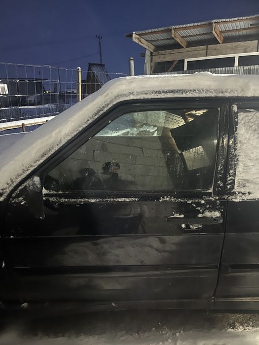 Дверии  на  2114