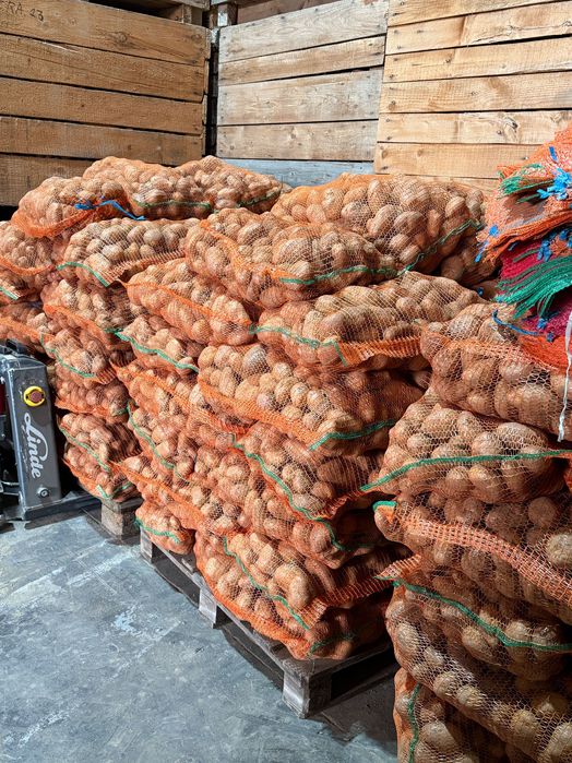 Cartofi de vanzare !