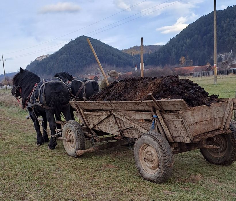 Gunoi macerat. Mraniță