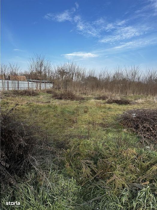 Parcele Intravilan 5km de Salonta Utilitati si asfalt