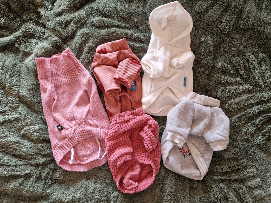 Дрешки за малко куче