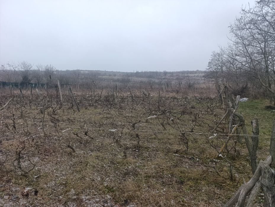 Teren  la tara 2500 m2