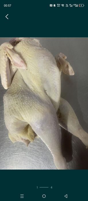 Продам домашние курочки