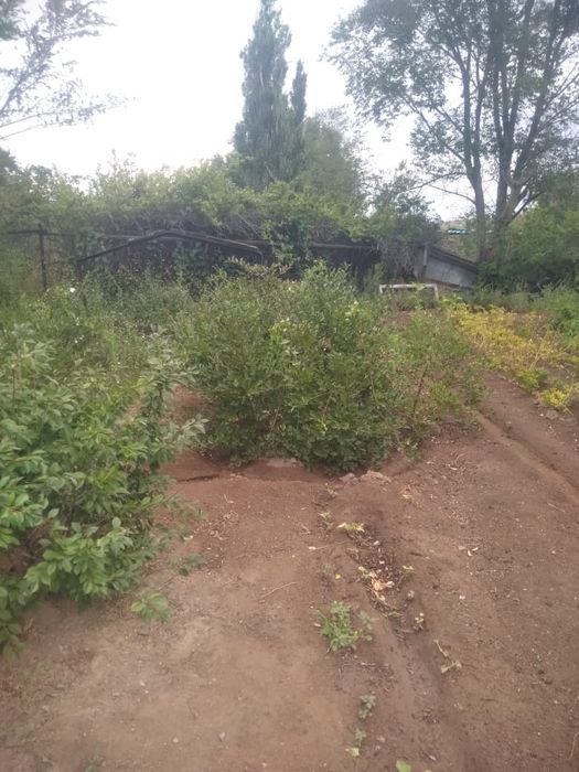 Дача в ТЭЦ 1 в хорошем состоянии