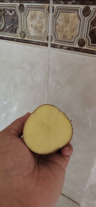 Картофель домашний.