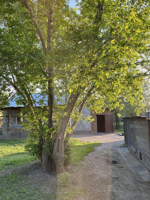 Продам дом в селе Рахат