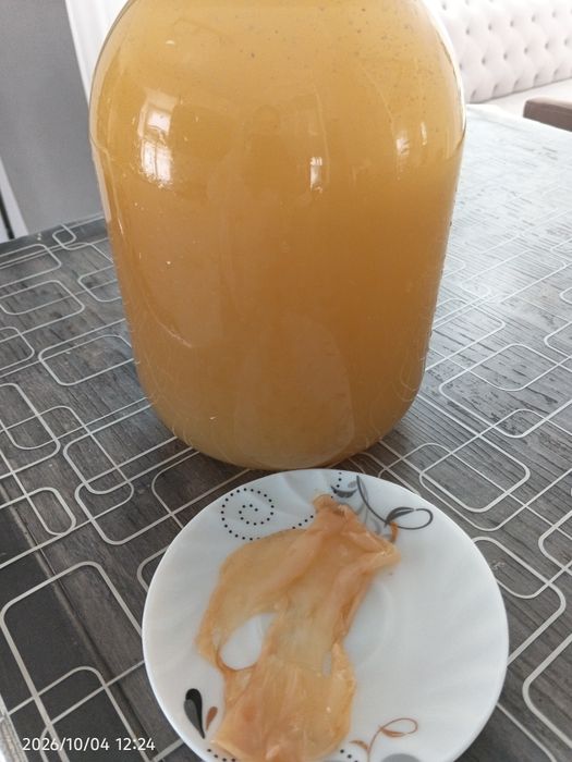 Яблочный уксус домашний