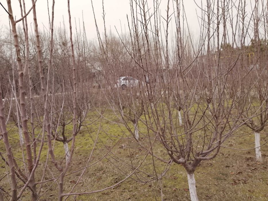 Участка и дом земельный участок