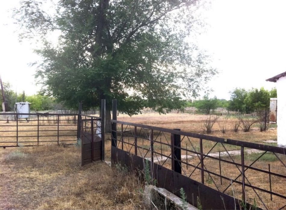 Жилье и бизнес в одном месте