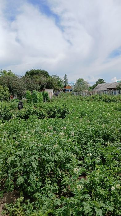 Продаётся дача Здоровье