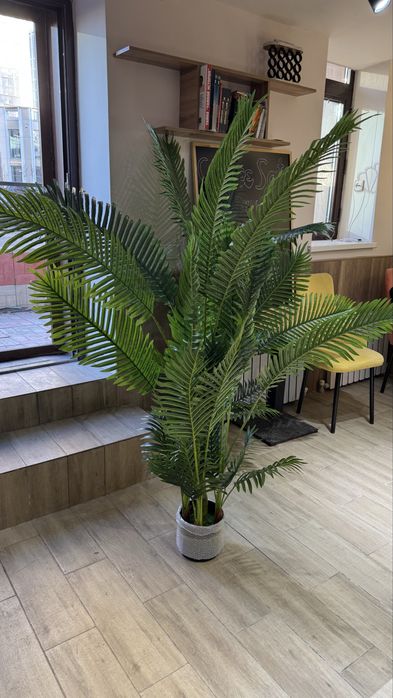 Декоративные цветы