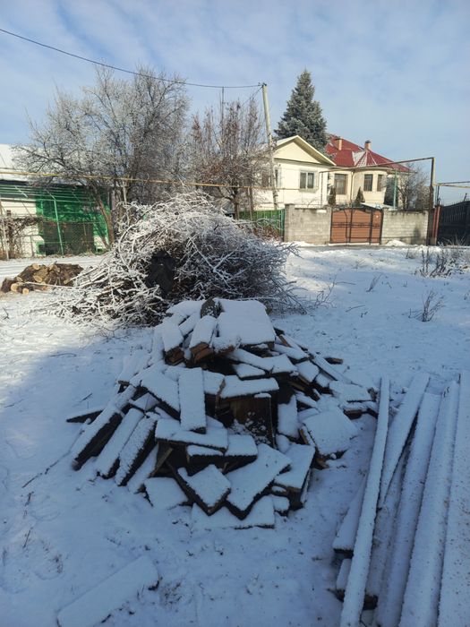 Продам дрова , есть разные виды