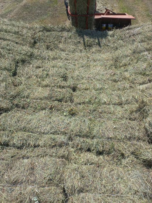 Продам сено рулонн и тюковое ...