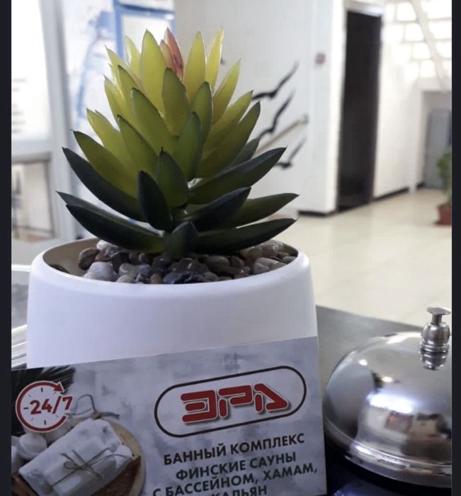 Сауна круглосуточно