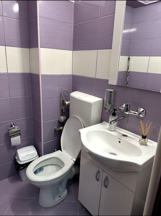 Proprietar,închiriez garsonieră,Parter,Țiglina 1,A-uri.