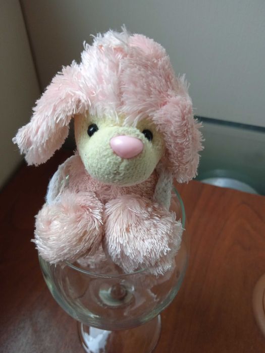 Малко плюшено кученце пуделче