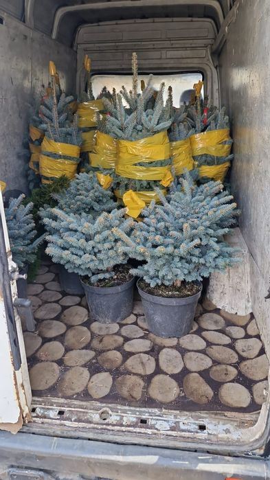 Ландшафтный дизайн