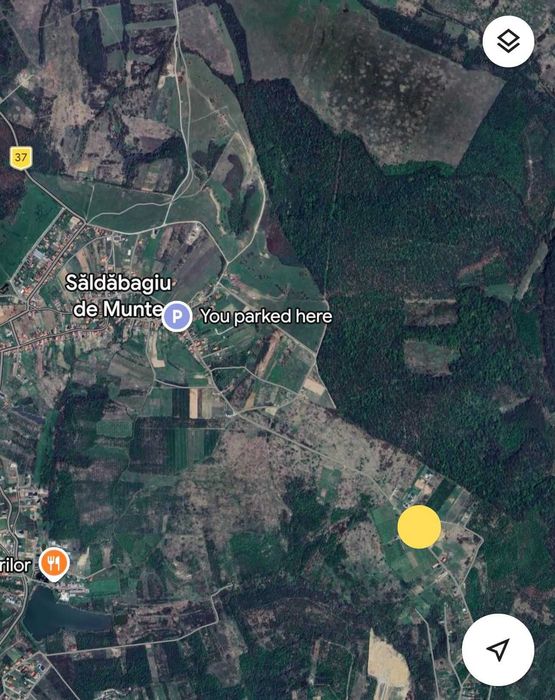 Teren Saldabagiu de Munte