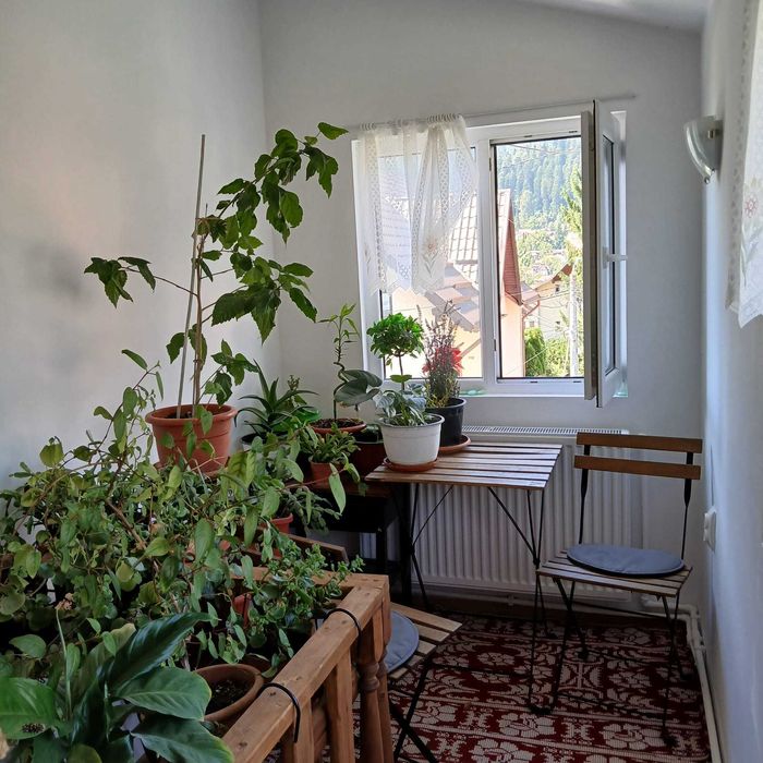 Apartament in vila - Locatie Busteni - Zamora - Valea Prahovei