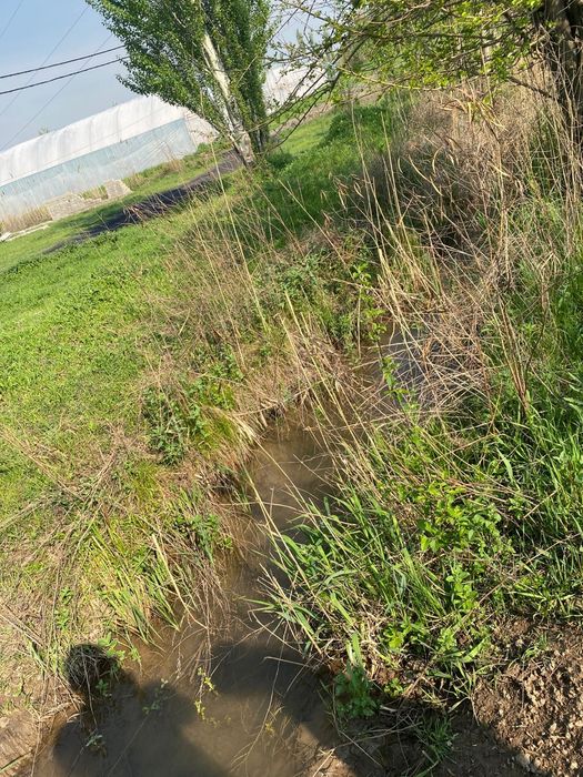 Недвижимость земли