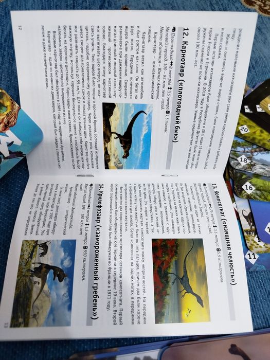 Мир динозавров карточки