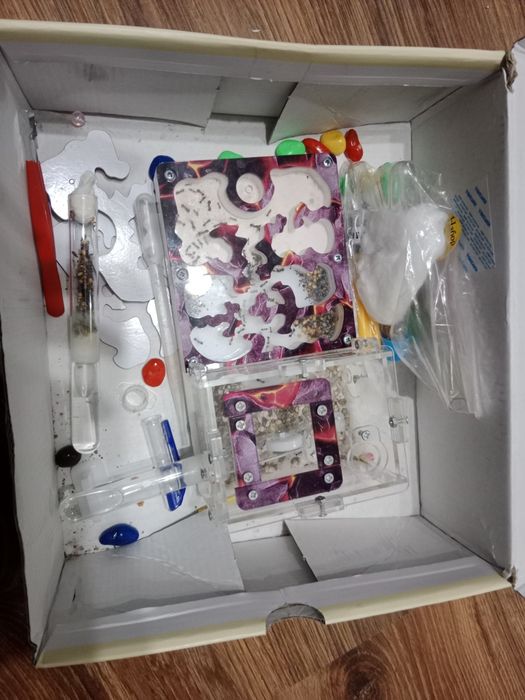 Муравейный ферма для детей