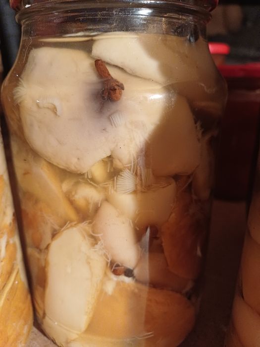 Продам грибы маринованные.
