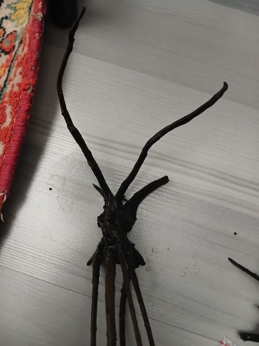 Коряга,декорация