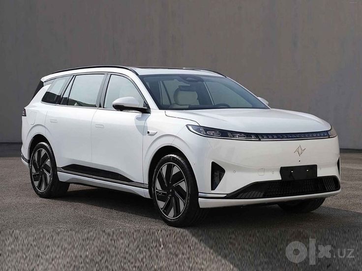 Dongfeng 008 6 kishilik elektor 3 4 xilidan mavjud
