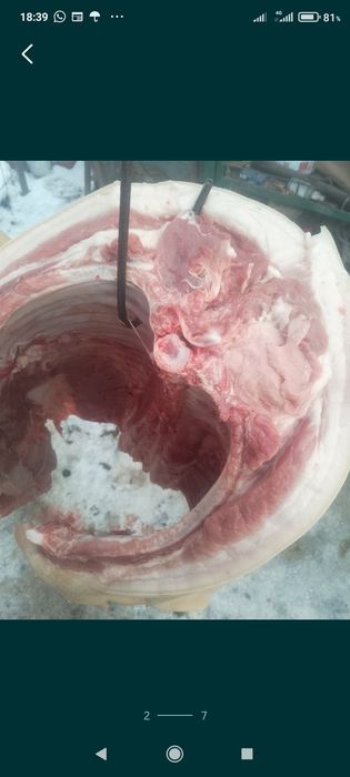 Мясо домашнее свинина