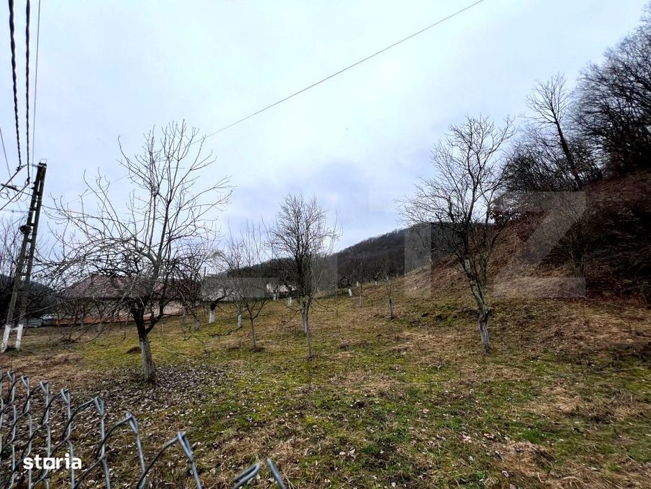 Teren intravilan 3.709 mp,  Stremt