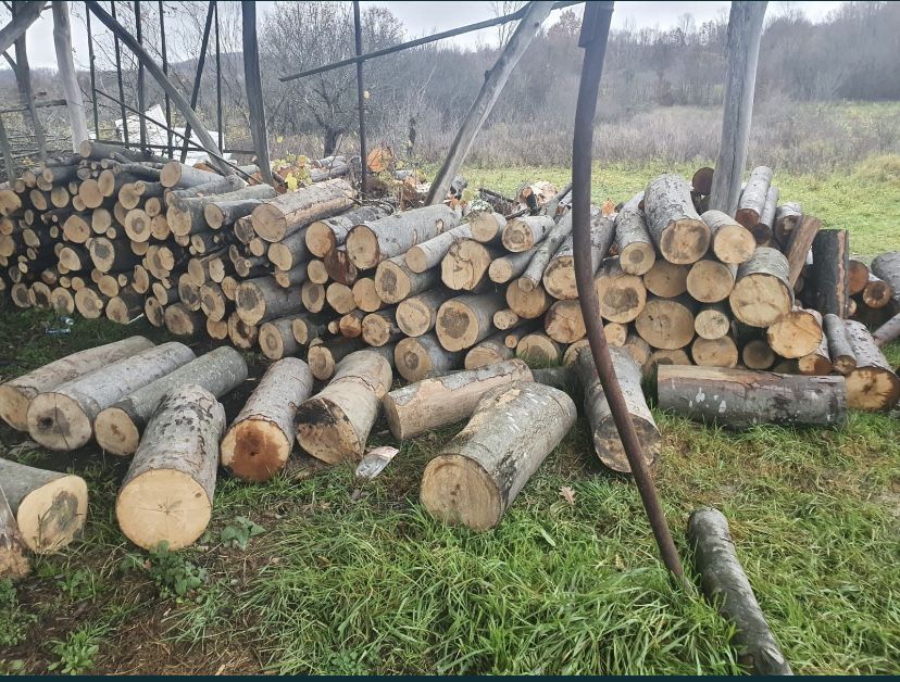 Lemn de foc.                  .