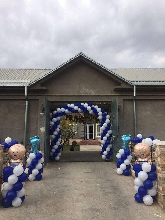 Оформления катта айиклар Тедди раддом учун