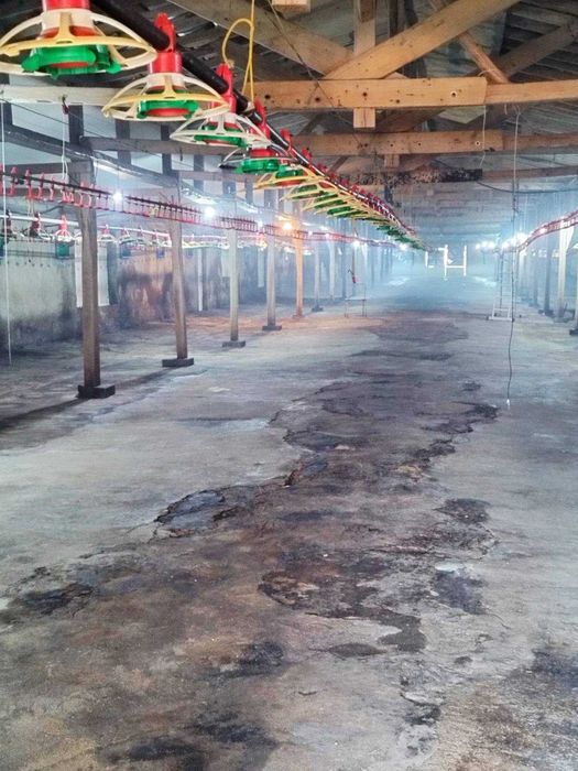 Продава се Склад в Търговище, Въбел - 1216 кв.м за 286 €/кв.м - Снимка #2