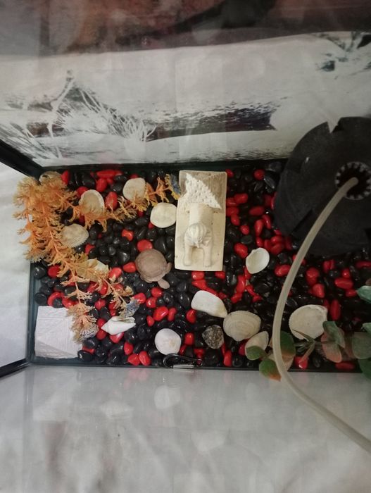 Продам аквариум без рыбок