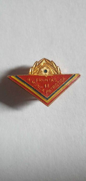 Insigna comandant instructor, patrula scolara, pionier