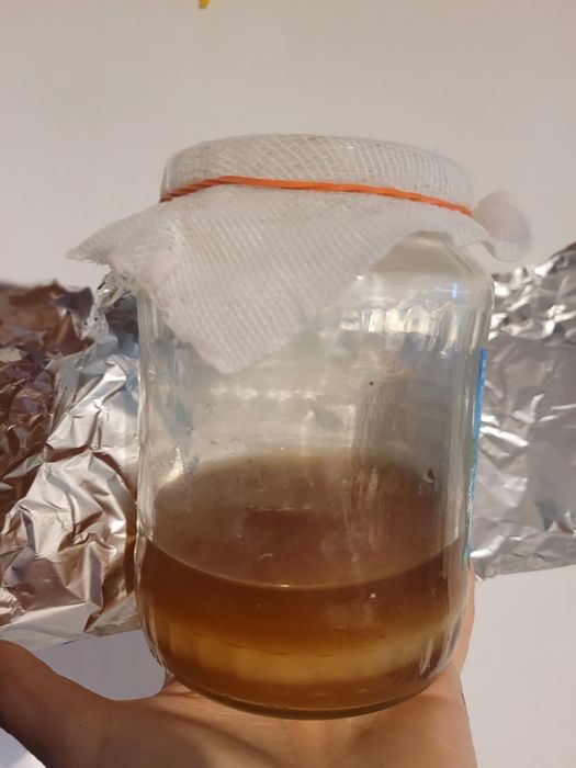 Vând ciuperca kombucha cu lichid starter