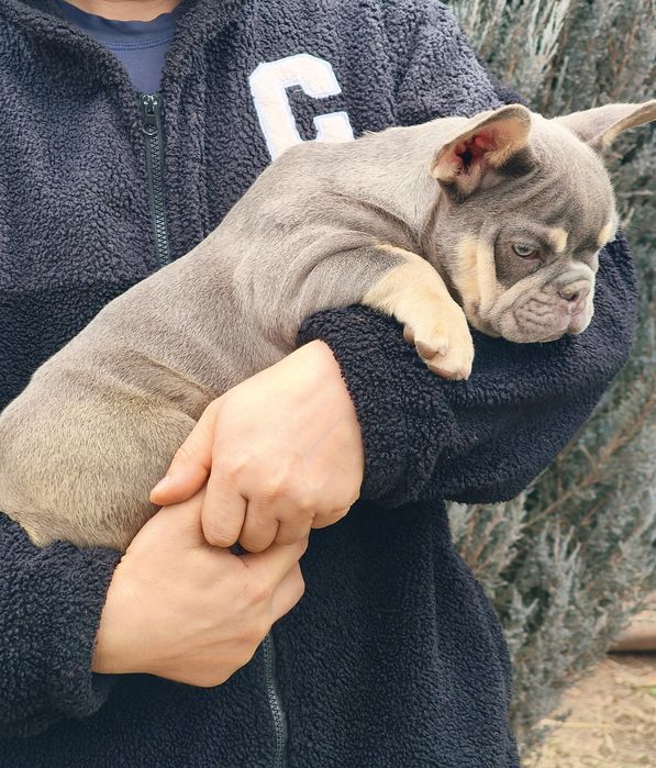 Замечательная девочка