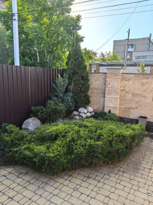 Выравнивание рельефа.Высотка кустов, деревьеа.