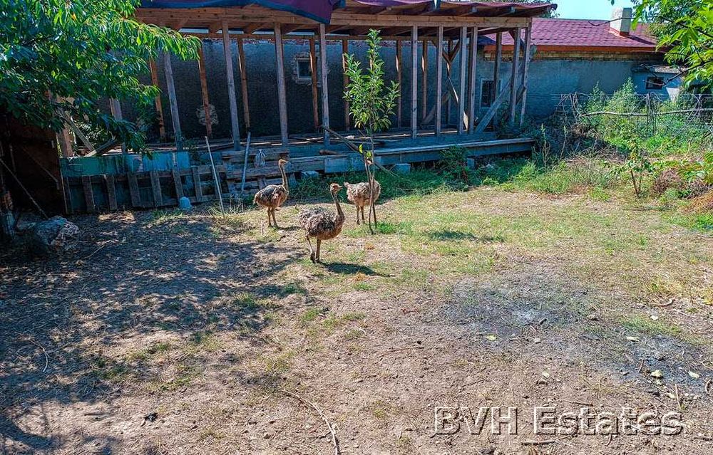 Продава се Къща в с. Белгун, Област Добрич - 70 кв.м за 1072 €/кв.м - Снимка #17
