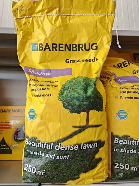 Gazon uruglari barenbur gollandiya