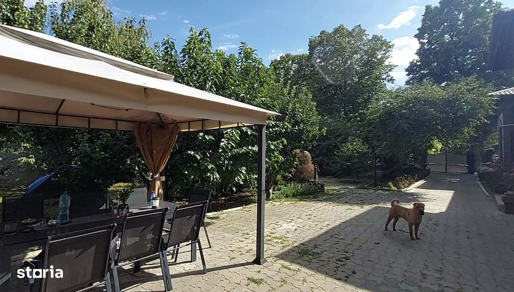 Proprietate rezidențială de excepție Tecuci, Oportunitate rară