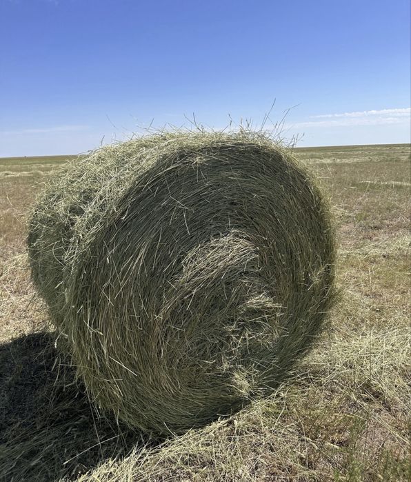 Продам рулон сено