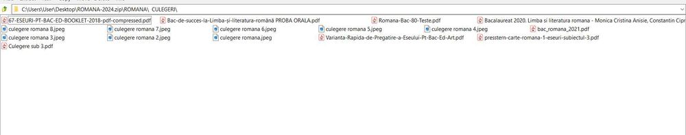 Pachet complet BAC Română  – Tot ce ai nevoie pentru nota 10!