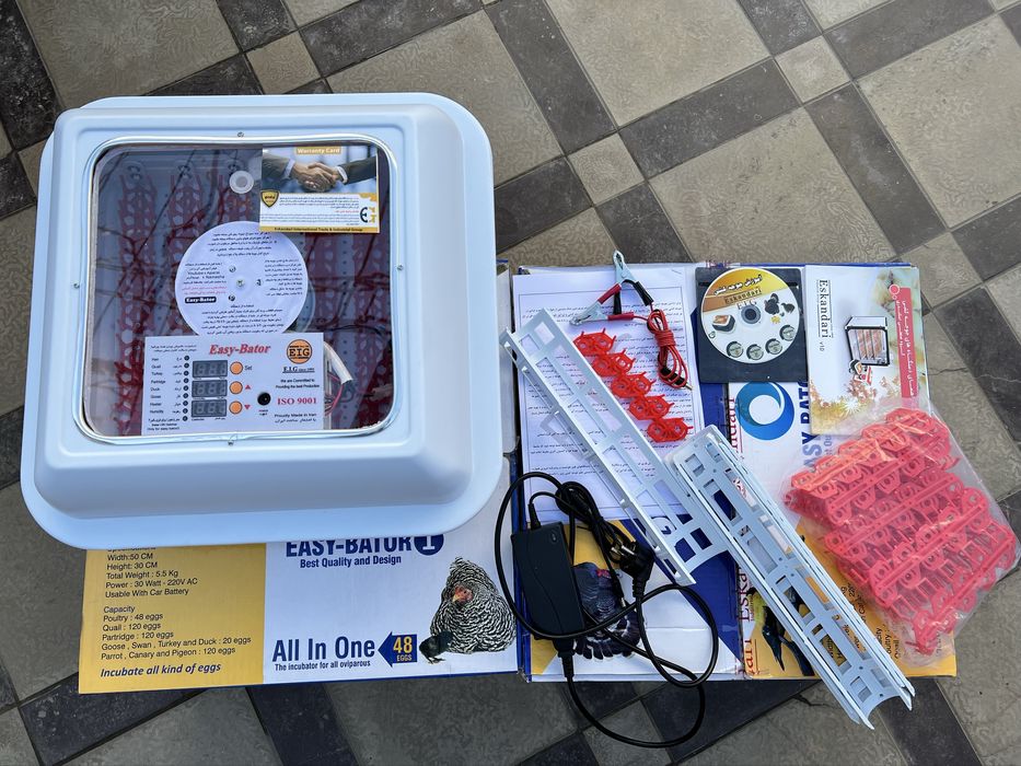 Италианская бедона итальанская перепелка  учун инкубатор