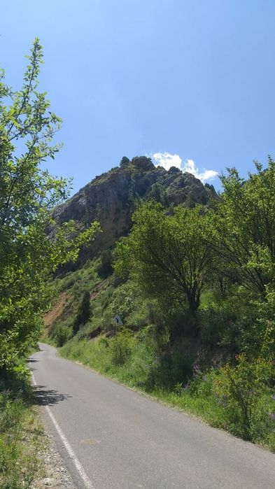 келтемашат жер телимы