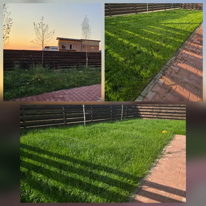 Ofer servicii de curățare și întreținere terenuri,curții.