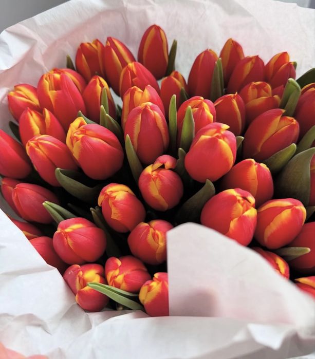 Тюльпаны Большие Бутоны