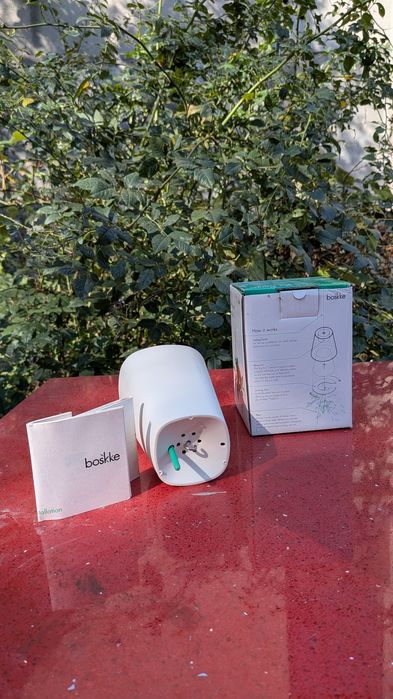 Ghiveti plante suspendat tavan