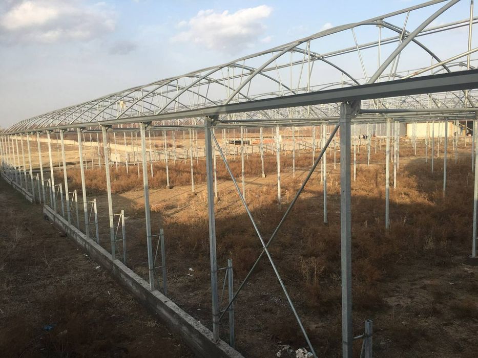 Teplisa eron teplisa 1 gektar